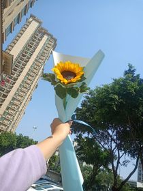同人日常合集