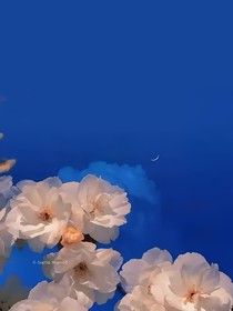 穿书体验各个世界