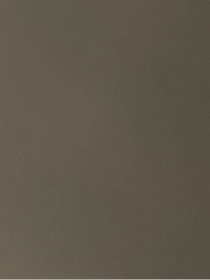 兇手與偵探