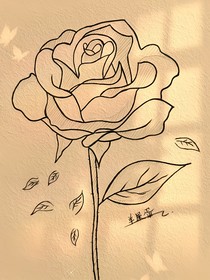 林冉同学