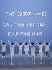 TNT：攻略各位大佬