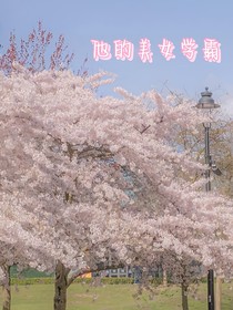 他的美女学霸