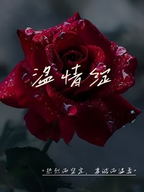温情绽