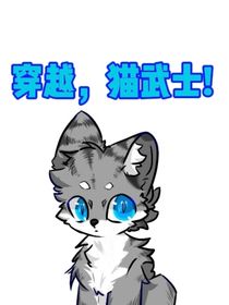 穿越，猫武士！