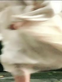 白掌