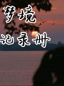 夢(mèng)境記錄冊(cè)