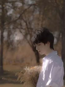 TNT：妹妹太虎怎么辦——d466