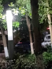泪和光
