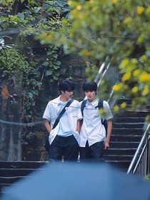 文哥，我永远爱你
