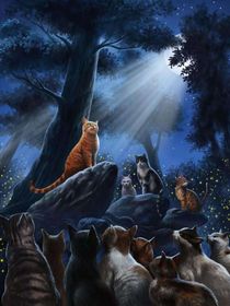 至尊至敬猫武士