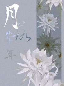 月落華年