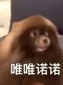 陸少，你家夫人又跑了