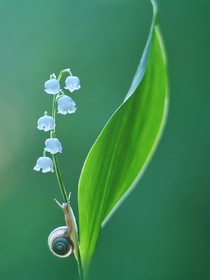 青春有你来过