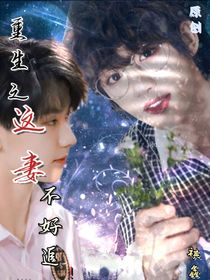 重生之這妻不好追