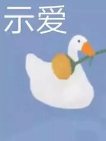 云白，云笙，星夜沉
