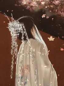 斗龙：天界
