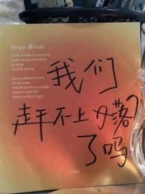 我们赶不上日落了吗？？