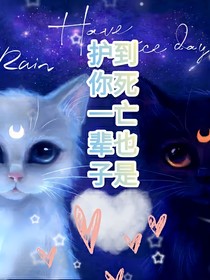 凹凸：两只喵