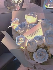 当鬼灭众人观看无惨养炭