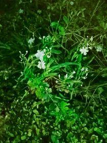 啊，这还没想好
