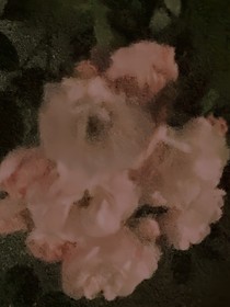 初子妖史