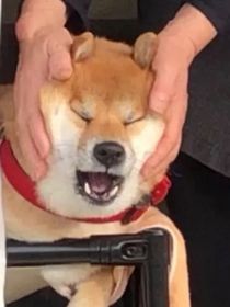九墟