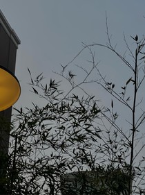 TNT：妹妹你逃不掉的