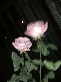 时光照相馆