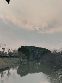 查九：名字暫時(shí)還沒(méi)想好