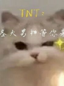 TNT：各大男神等你来撩