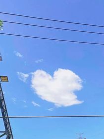 重生之白導(dǎo)的心尖寵