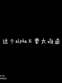 這個(gè)alpha不要太難追