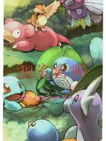 宝可梦：炽炎大师——d265