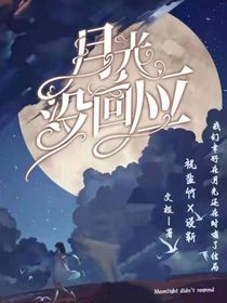 月光没回应