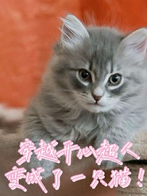 穿越开心超人变成了一只猫！