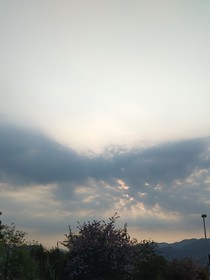 柒伍