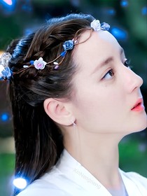 陳情：雁去不復返