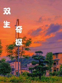 雙生奇探