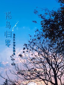 倦鳥歸零