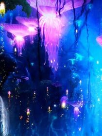 小花仙之花神圣典