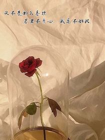 又不是那么喜欢……