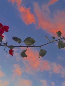 夕阳美如画