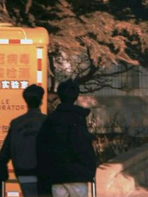 盼望那一天