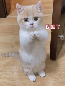 雪上重玥