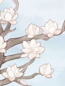 怪文