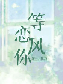 等风恋你