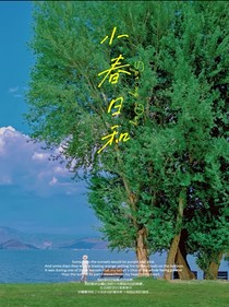 94年的橄欖枝