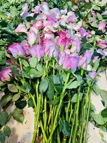花店时间