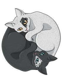 白沙在涅，与之俱黑