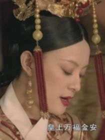 婉晨传
